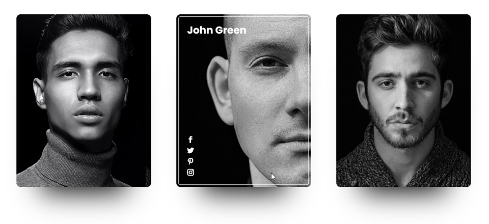Divi Profile Cards